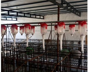 广州养猪自动化料线